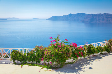 Santorini background. Greece, Santorini island, Oia - white architecture, flowers and blue sea and sky. Abstract background, empty space. Greek Islands, Santorini, European Vacation