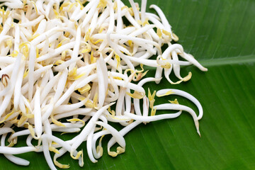Bean sprouts on banana leaf