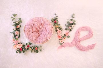 Digital backdrop background newborn girl pink flowers overhead love