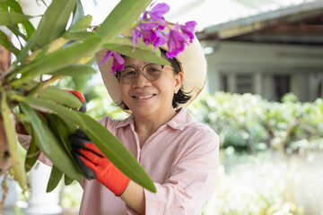 Happy and healthy Asian senior woman wearing hat smiling , trimming orchids in the garden .