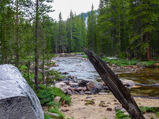 Scenic view of the Merced river flowing through dense pine tree forest near massive granite...