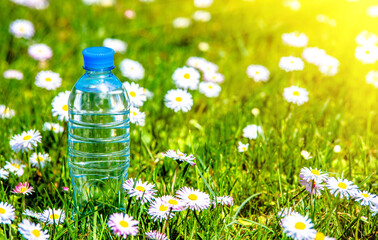 A bottle of drinking water stands among the daisies