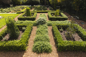 Decorative hedges, gravel paths and lawn in sunny formal garden