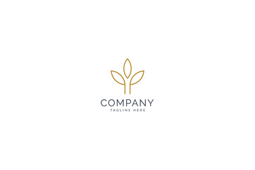 Creative Brandmark logo three growing leaves plants eco 