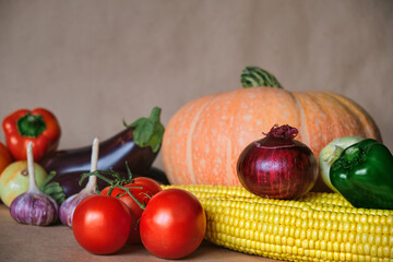 Fototapeta na wymiar The concept of a happy Thanksgiving. Fresh harvest of vegetables pumpkin, corn, paprika, tomatoes, onions, eggplants. Organic background