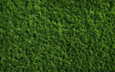 Top view artificial grass soccer field background texture