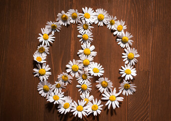 Peace symbol of beautiful daisy flowers on a wooden background. Symbol of pacifism