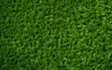 Top view artificial grass soccer field background texture