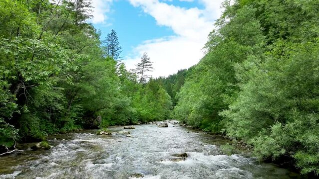 Aerial Drone Through Logar Valley Beautiful Water Flow Riverbed Slovenia Travel and Tourism, Unpolluted Landscape