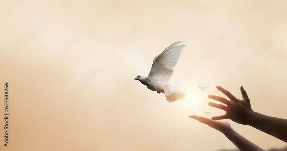 Wall mural praying hands and white dove flying happily on blurred background with sunset , hope and freedom con