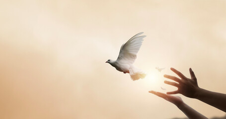 Praying hands and white dove flying happily on blurred background with sunset , hope and freedom  concept. - obrazy, fototapety, plakaty