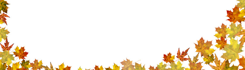 Fototapeta na wymiar Autumn colorful leafy ornament with yellow-orange maple leaves on a transparent background. Vector