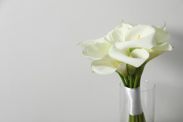 Beautiful calla lily flowers in glass vase on white background. Space for text