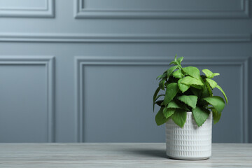 Beautiful artificial plant in flower pot on white wooden table near grey wall, space for text