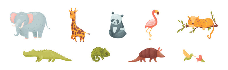 Cute African Animals and Zoo Creature Vector Set