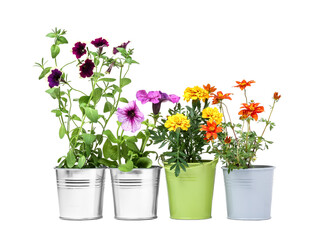 Different flowers in metal pots isolated on white