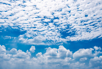 Naklejka na ściany i meble white fluffy and cirrocumulus clouds on a blue sky background