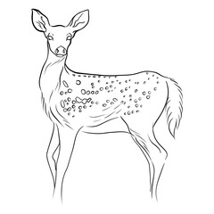 deer minimal line art black and white stylish