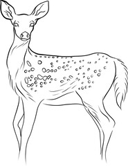 deer minimal line art black and white stylish