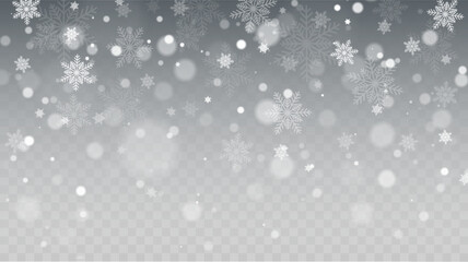 Falling Snow Overlay Background. Snowfall Winter Christmas Background. Vector Illustration.