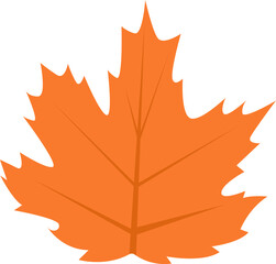 Maple Tree Leaf