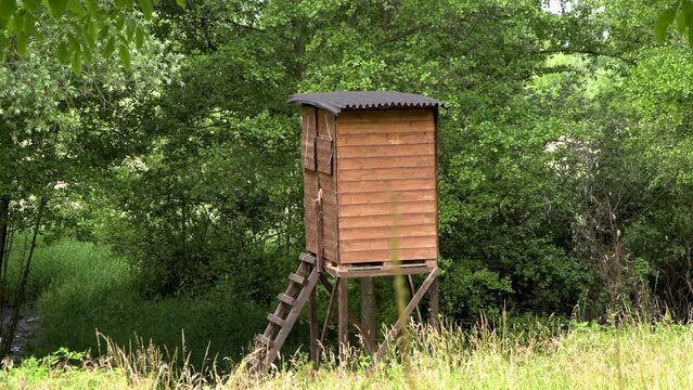 Bird observation cabin in a forest