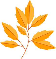 Branch With Leaves