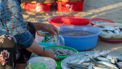Baskets of freshly caught fish are displayed for sale at a traditional Vietnamese market right on...