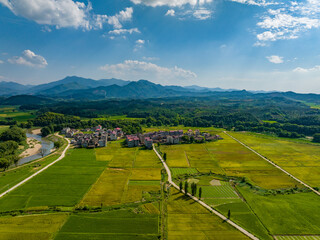 Rural rural scenery, green rice field, blue sky and white clouds, Jiangxi, China