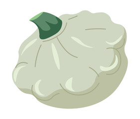 Zucchini small squash, organic vegetable from farm