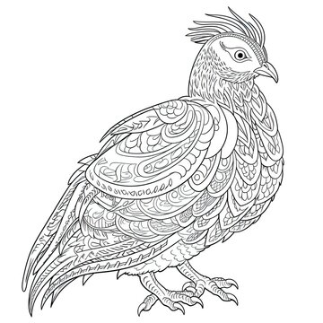 recommend clip art: Quail animal line art illustration. Black and white coloring page style art. Generative AI