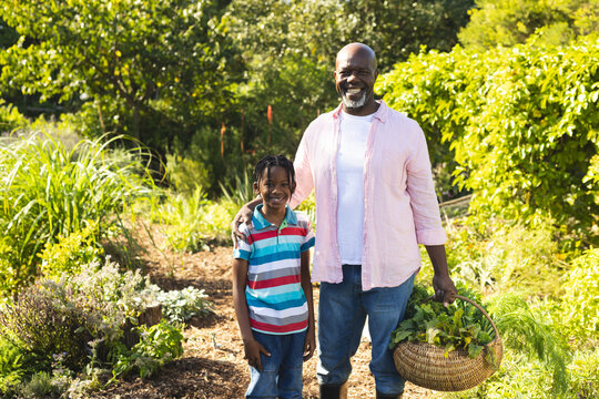 Portrait of happy african american grandfather and grandson holding basket with vegetables in garden