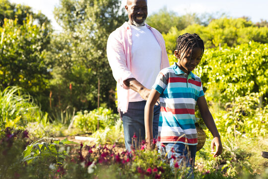 Happy african american grandfather and grandson walking in garden