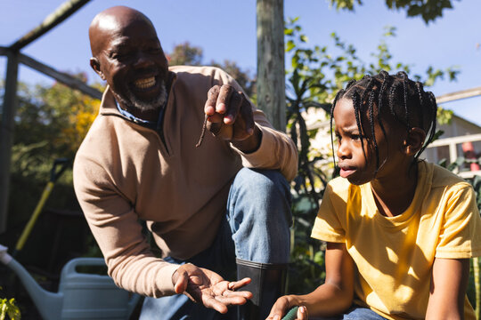Happy african american grandfather and grandson holding earthworm in garden