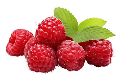 Isolated Raspberry with Foliage transparent Background. Generative AI