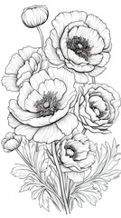 Cute Ranunculus flower in coloring page style illustration. Line art painting. Generative AI