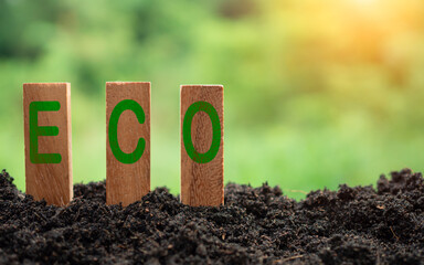 Wooden sticks stacked with ECO concept lettering on nature background. concept of future business growth for the environment. and design for reuse and renewable material resources
