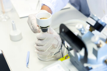 Hand holding flask with suction filtering flask using for analysis total suspended solids in...