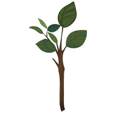 drawing of branches and saplings in a forest