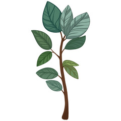 drawing of branches and saplings in  forest