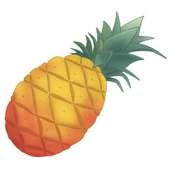 pineapple drawing tropical fruit
