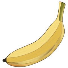 Banana drawing, tropical fruit