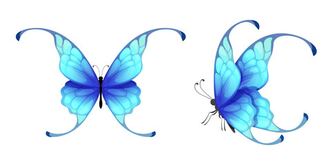 Beautiful blue butterflies vector isolated on white background.