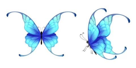 Afwasbaar Fotobehang Vlinders Beautiful blue butterflies vector isolated on white background.