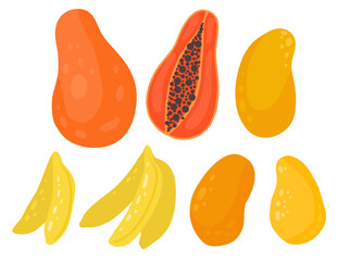 Vector set of tropical fruits isolated from background. Collection of flat juicy mango, papaya, bananas. Design element