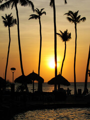 Golden Sunset Silhouetting Palm Trees in Aruba