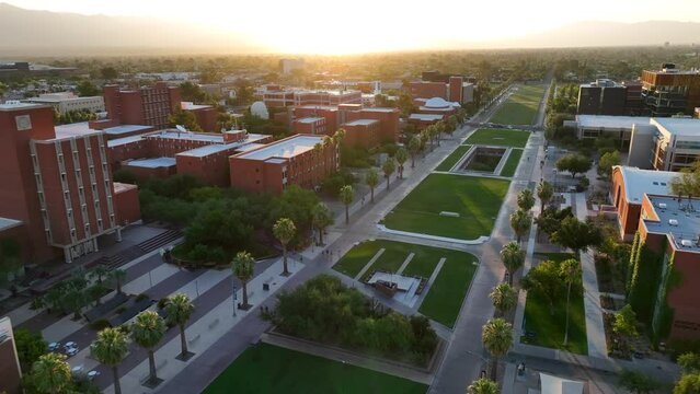 Beautiful sunrise over college campus lined with palm trees. University of Arizona lawn. Aerial establishing shot of buildings and Old Main green.