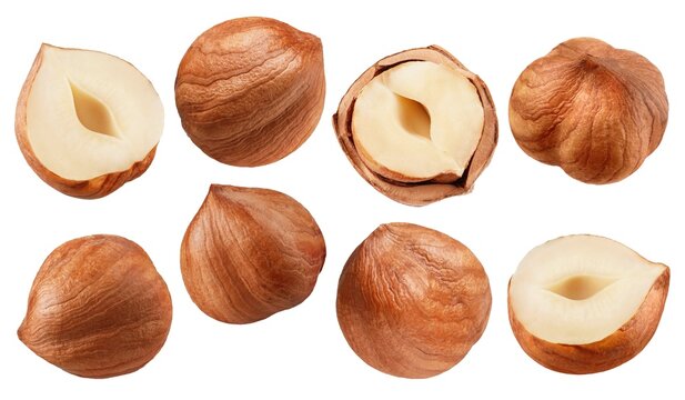 Hazelnut isolated on white background, collection
