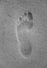 Footprint in the sand. Barefoot on the beach.
