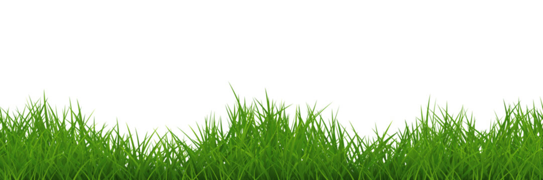 Green uneven grass wide repeat border isolated. Vector © Glitter_Klo